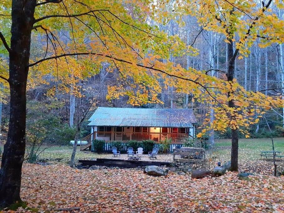 Creekside 1920'S Farmhouse Villa Bryson City Eksteriør billede